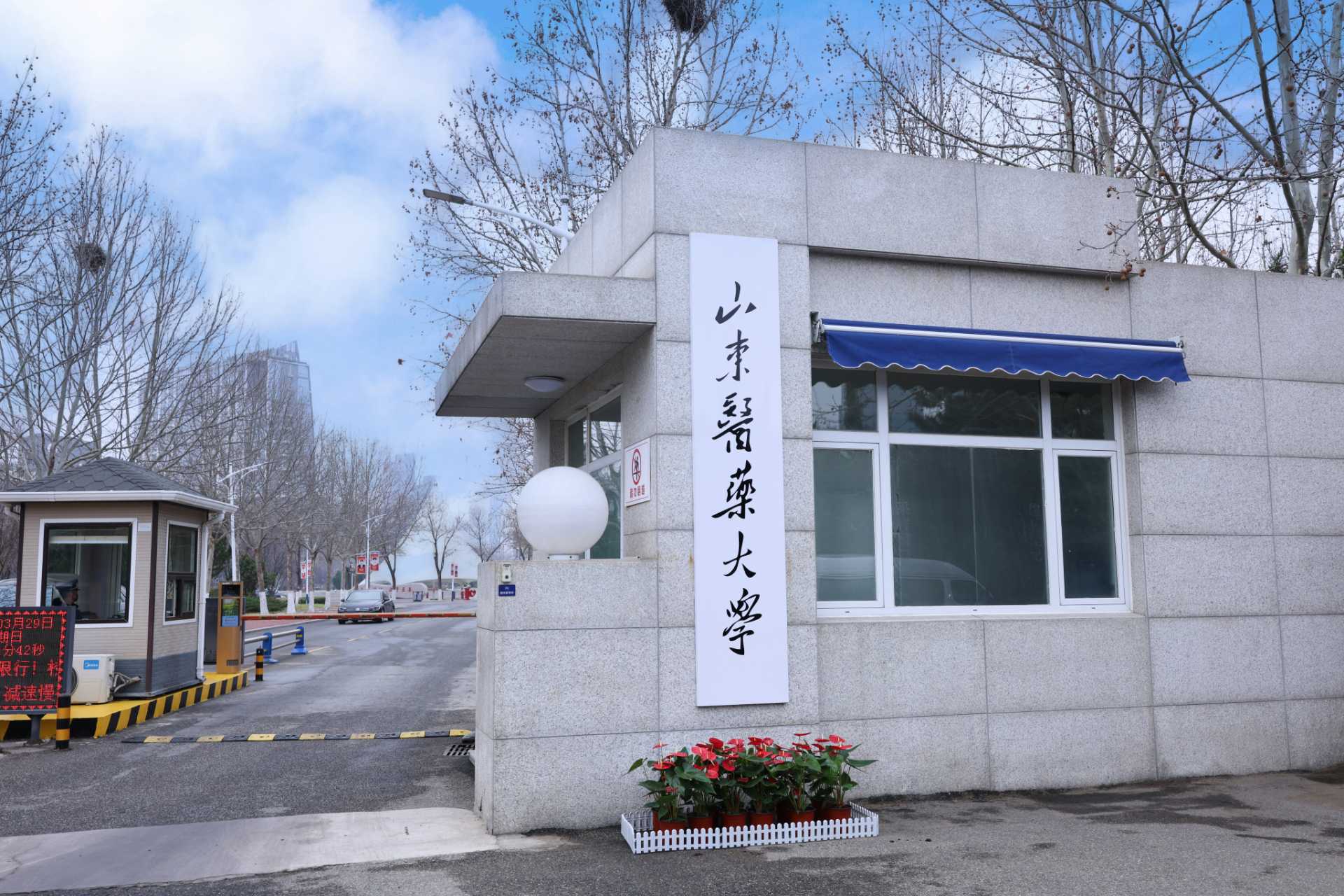 九游手游平台2026年普通高等九游手