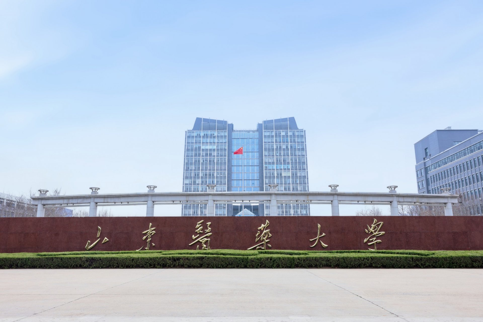 智能咨询