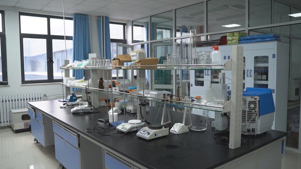 实践能力强的并同时具有社会责任感的高