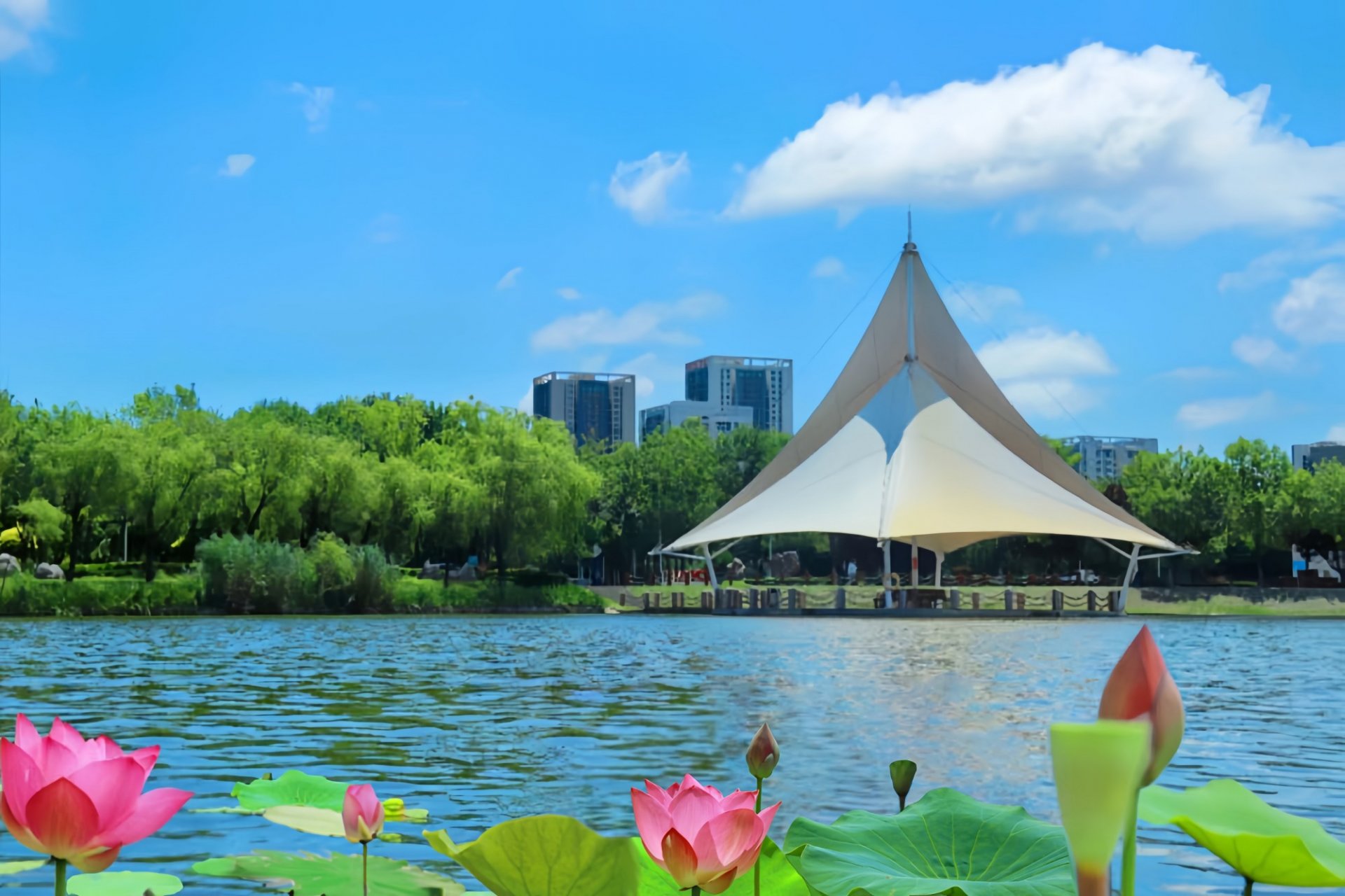 九游手游平台2026年普通高等九游手